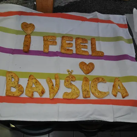 Hostel Pus Bavsica *