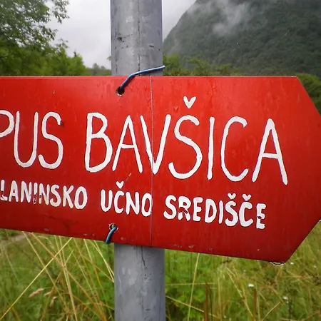 Pus Bavsica * 罗格坡曼戈唐
